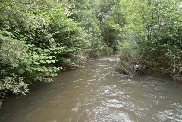 Radomka