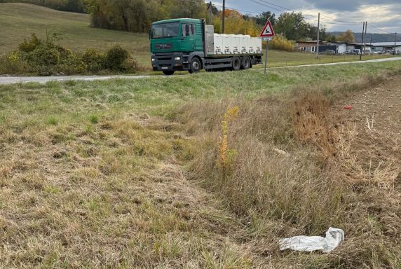 Zarybnenie revírov kaprom, pstruhom potočným a podustvou severnou – fotka 15