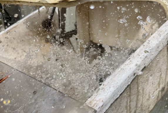 Zarybnenie revírov kaprom, pstruhom potočným a podustvou severnou – fotka 7