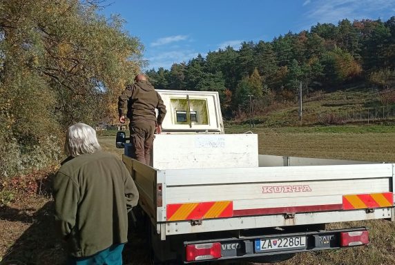 Zarybnenie revírov kaprom, pstruhom potočným a podustvou severnou – fotka 18